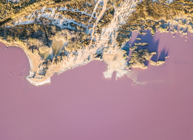 willian-justen-de-vasconcellos-8nFDfBHaO8s-unsplash (1)